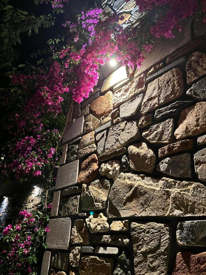 Villa Anna อาโยส นิโกลาออส ภายนอก รูปภาพ
